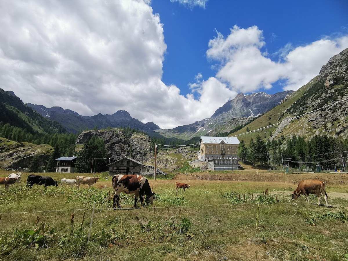 Trattoria Alpina - 5